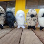 383950443_285378314260930_4763598648758340352_n